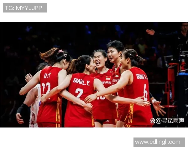 广州排球队实力强劲荣登全国排球实力排行榜第四位