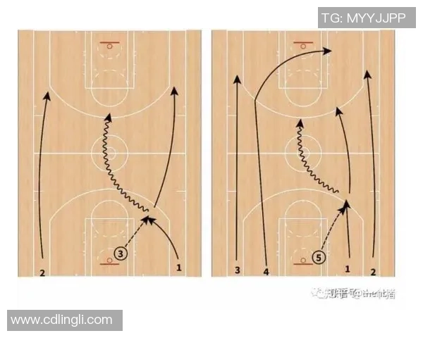 杭州排球队快攻战术解析与成败经验分享